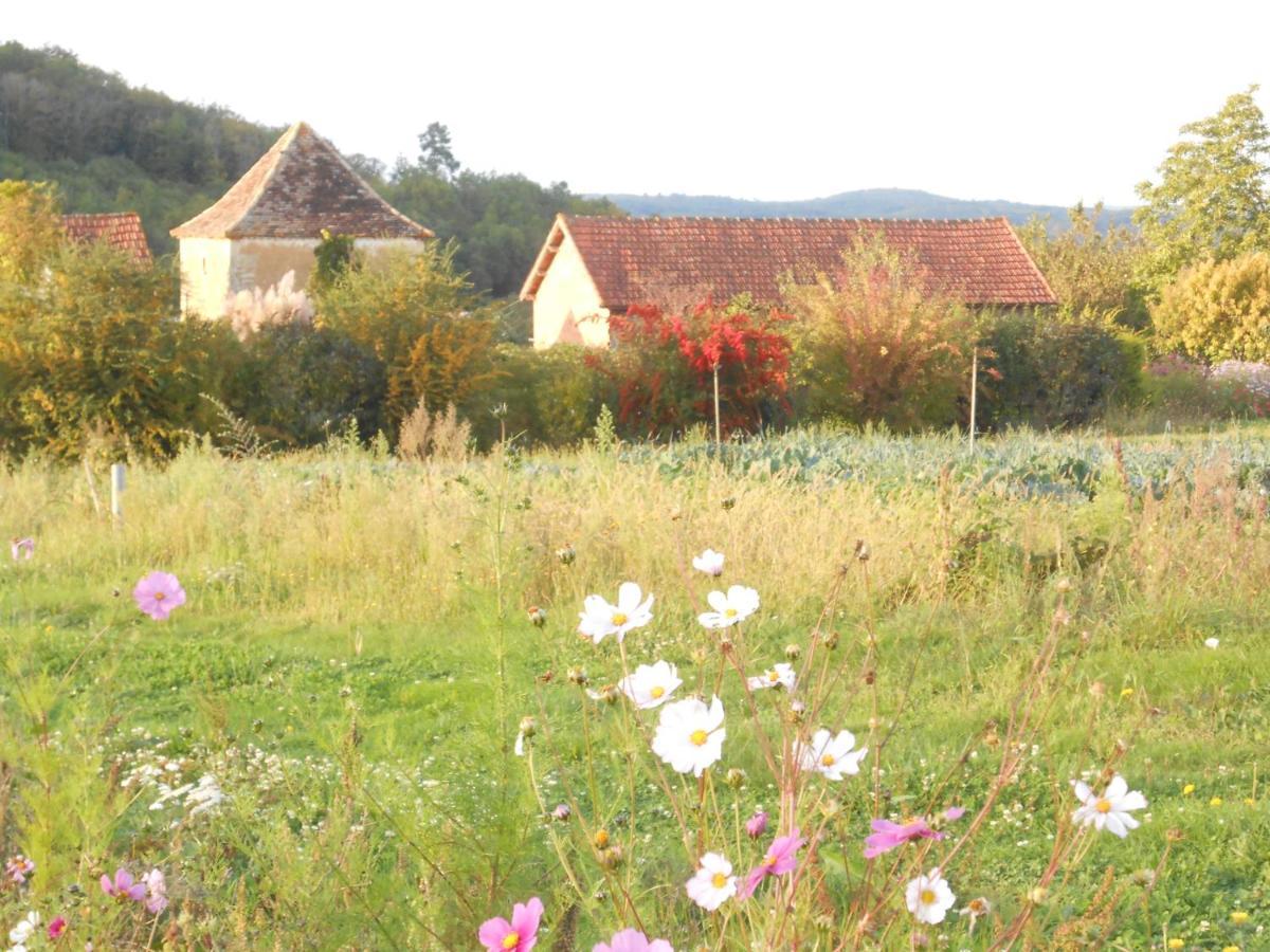 Chambres D'Hotes Le Roussel Le Buisson-de-Cadouin Exterior foto